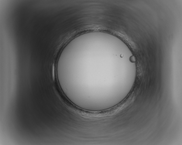 X0000102860014200808181034