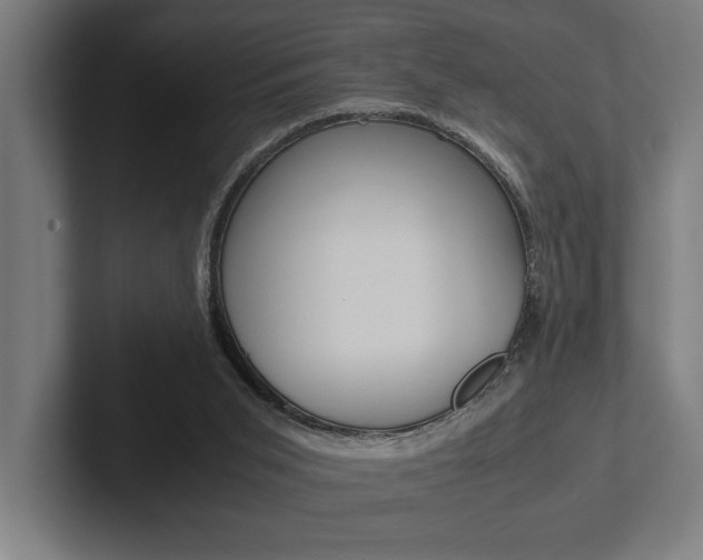 X0000102860015200808181034