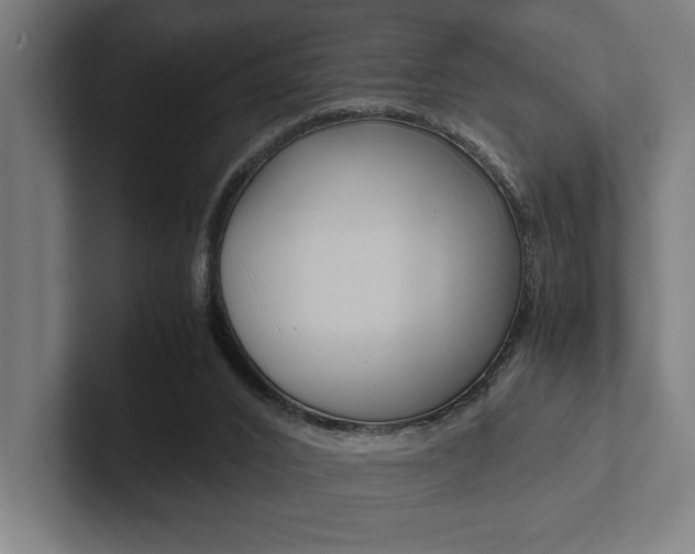 X0000102860016200808181034