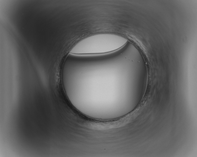 X0000102860017200808181034