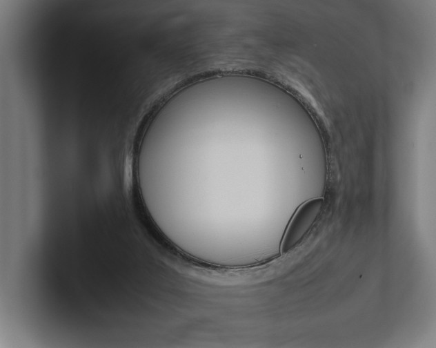 X0000102860019200808181034