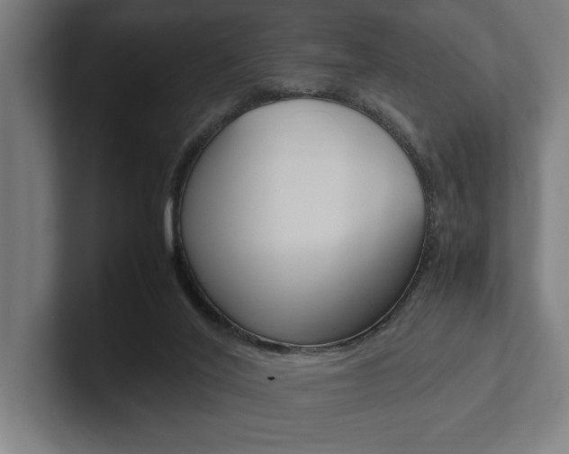 X0000102860020200808181034