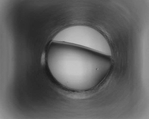 X0000102860024200808181034