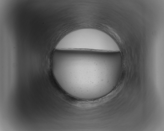 X0000102860025200808181034