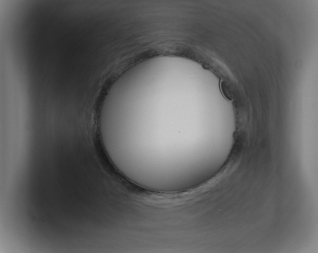 X0000102860029200808181034