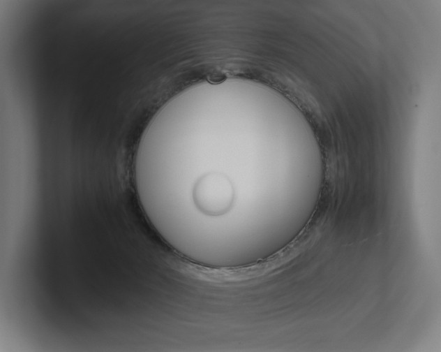 X0000102860030200808181034