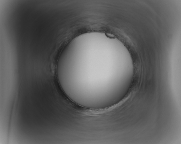 X0000102860033200808181034