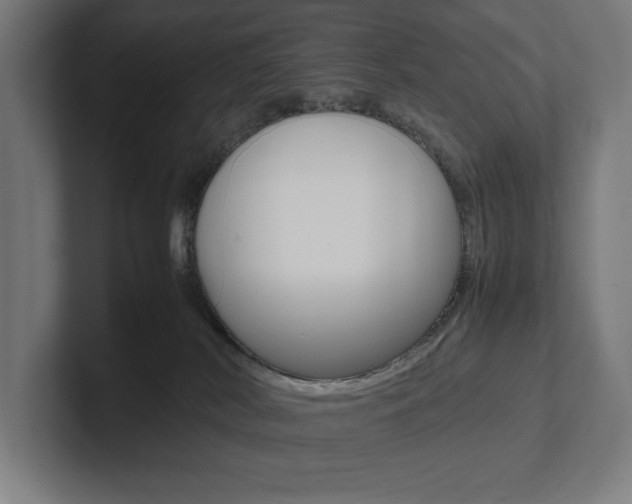 X0000102860038200808181034