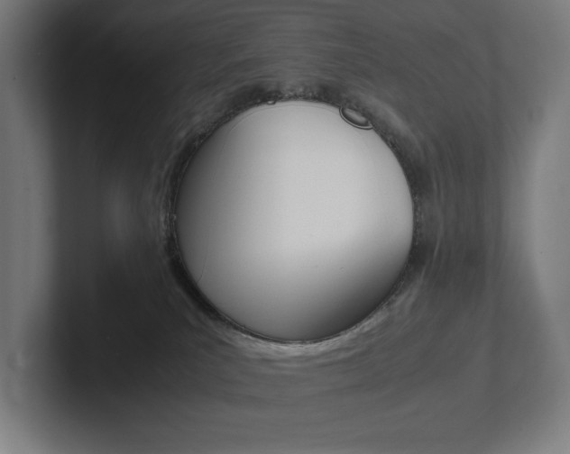 X0000102860039200808181034