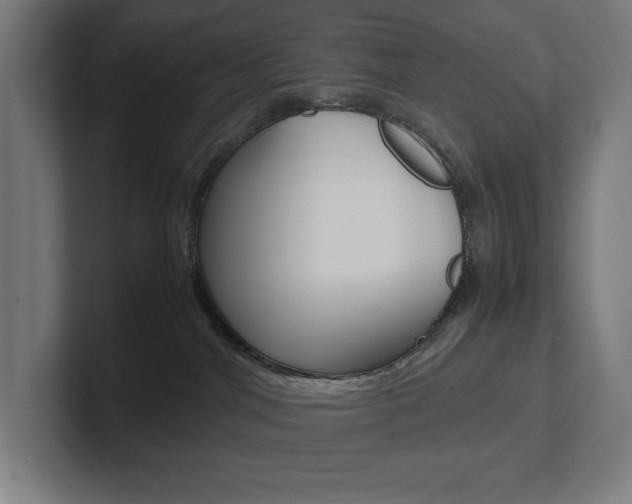 X0000102860044200808181034