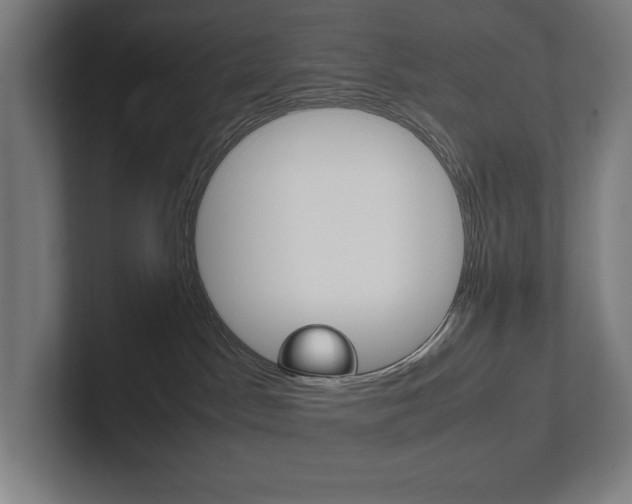 X0000102860045200808181034