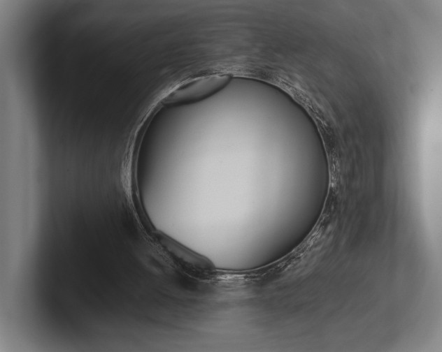 X0000102860052200808181033