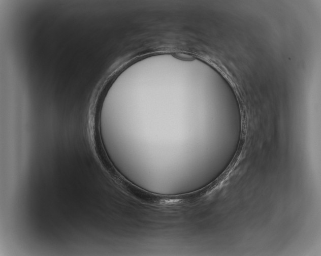 X0000102860055200808181034