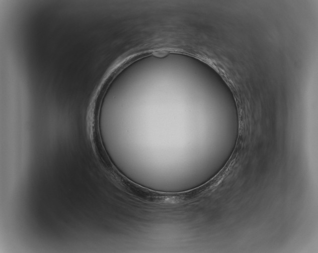 X0000102860056200808181034