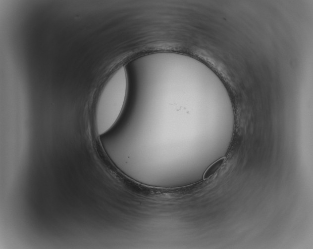 X0000102860062200808181034