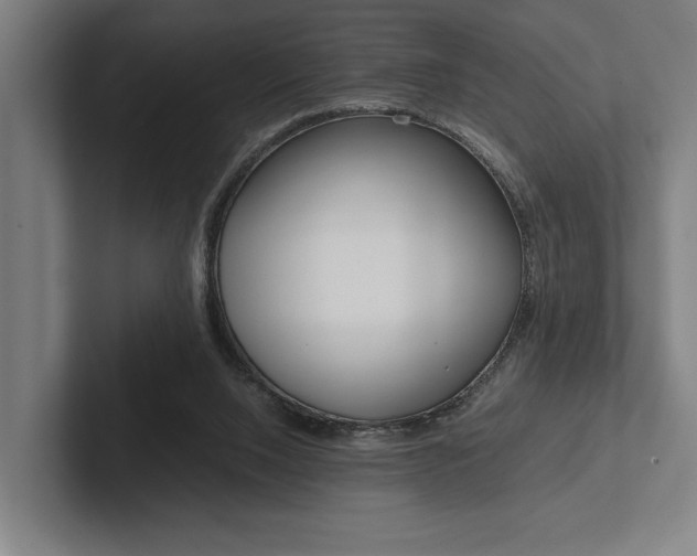 X0000102860064200808181034