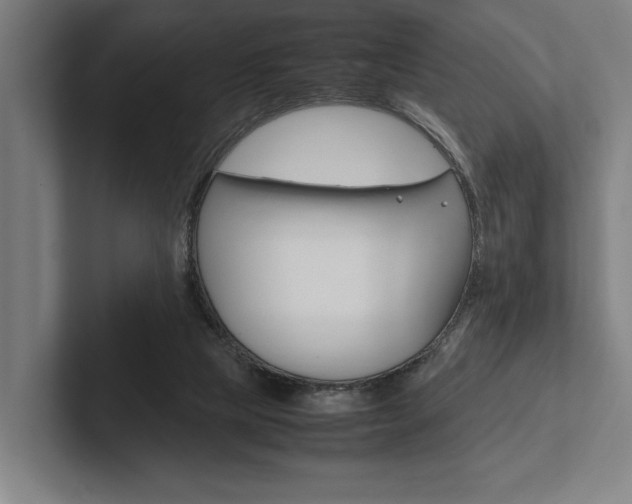 X0000102860065200808181034