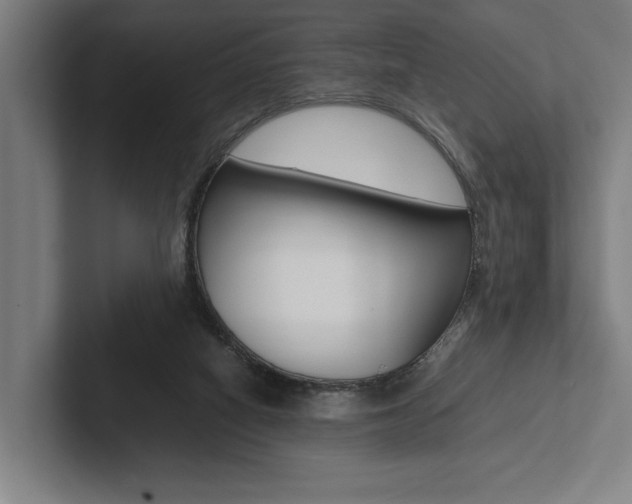 X0000102860066200808181034