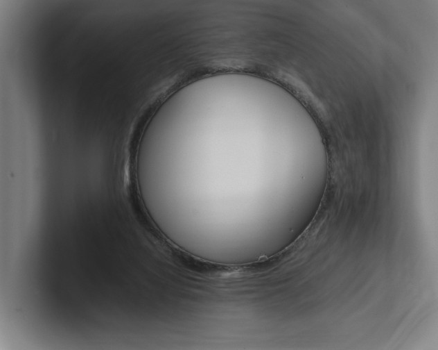 X0000102860068200808181034