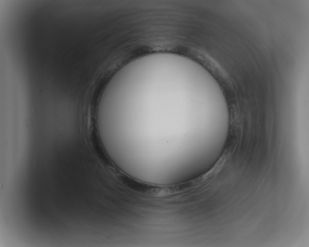 X0000102860074200808181034