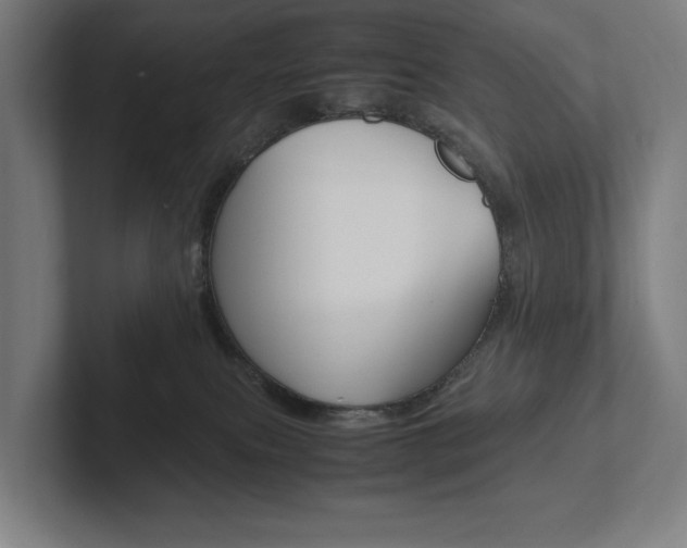 X0000102860087200808181034