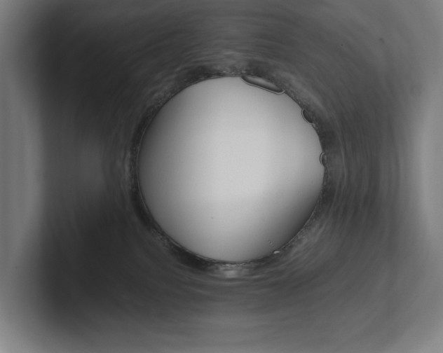 X0000102860088200808181034