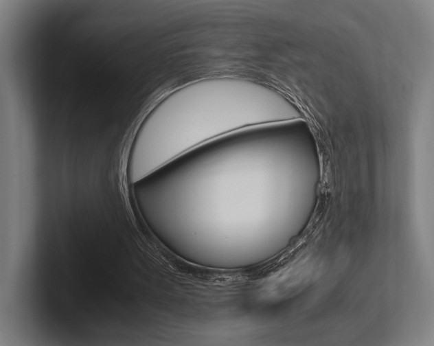 X0000102860099200808181033