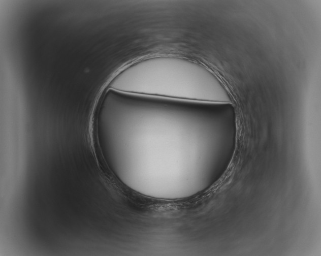 X0000102860100200808181033