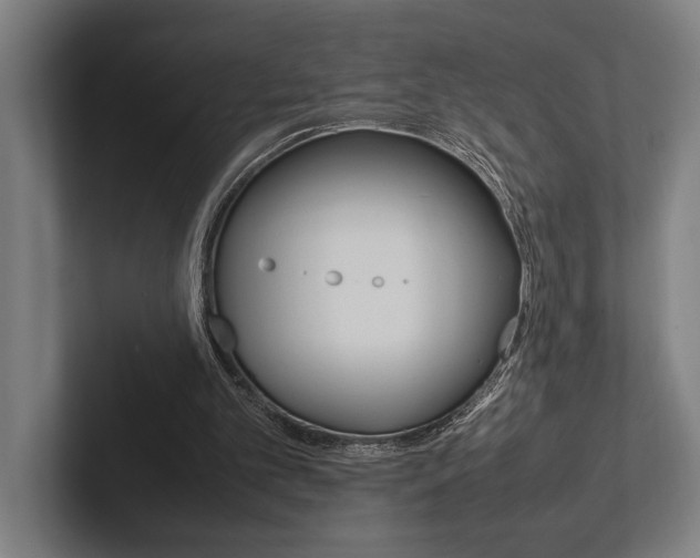 X0000102860101200808181033