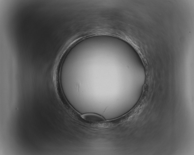 X0000102860103200808181033