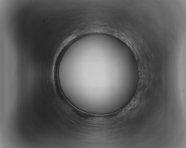 X0000102860104200808181033