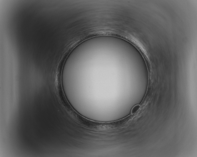 X0000102860105200808181033