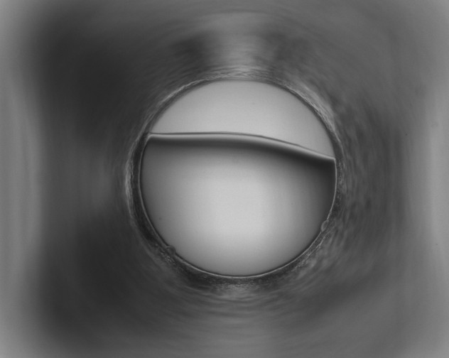 X0000102860107200808181033