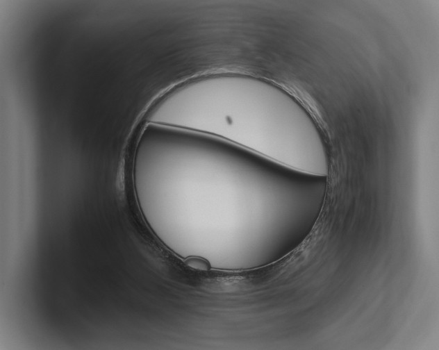 X0000102860108200808181033