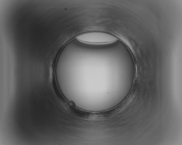 X0000102860109200808181033