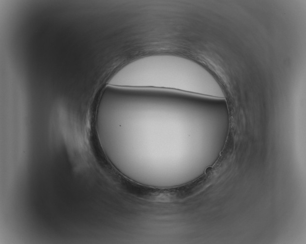 X0000102860115200808181033