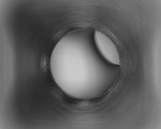 X0000102860119200808181033