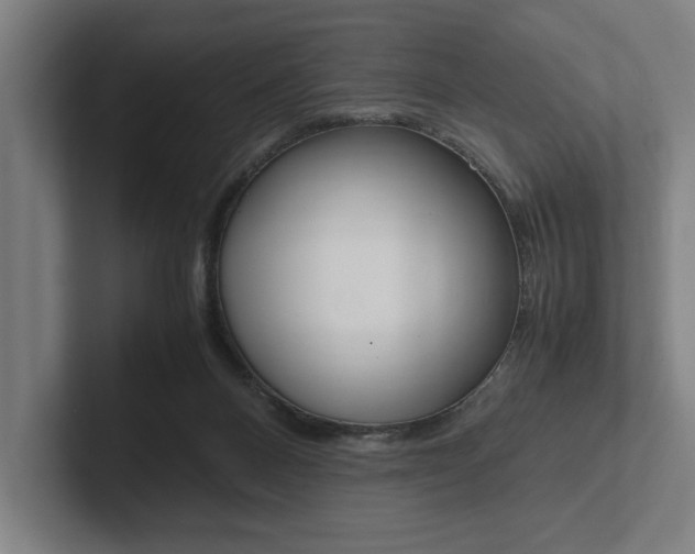 X0000102860120200808181033