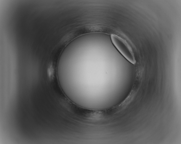 X0000102860124200808181033