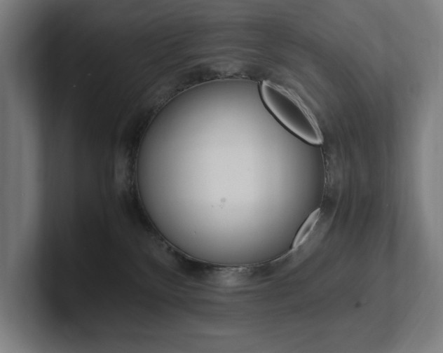 X0000102860136200808181033