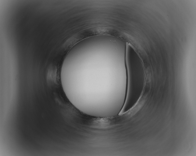 X0000102860140200808181033