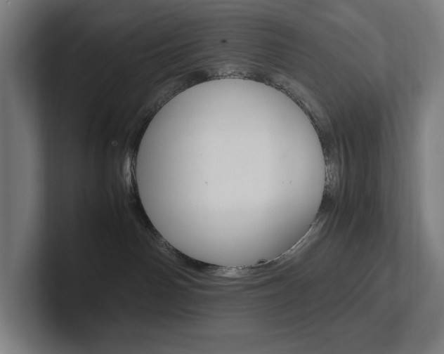 X0000102860142200808181033