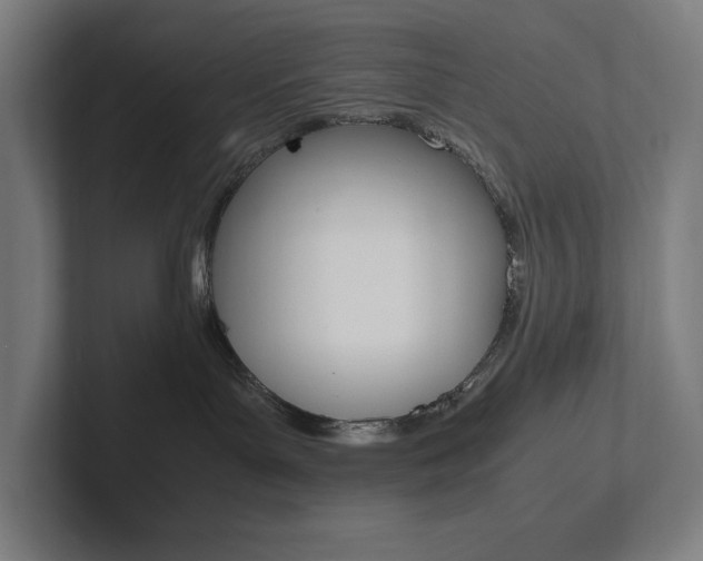 X0000102860143200808181033