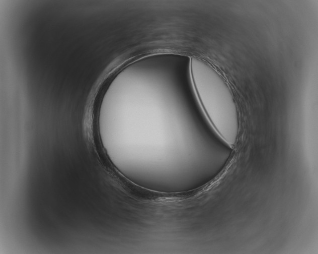 X0000102860150200808181032