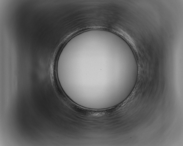 X0000102860155200808181032