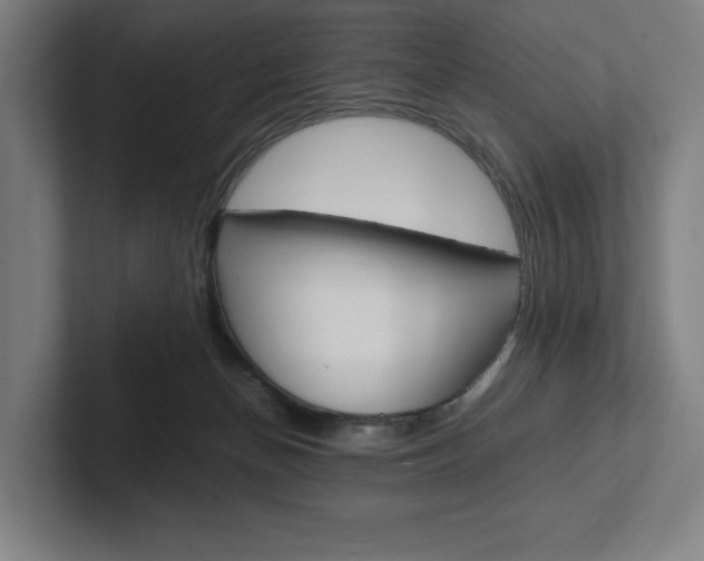 X0000102860174200808181033