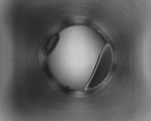 X0000102860176200808181033