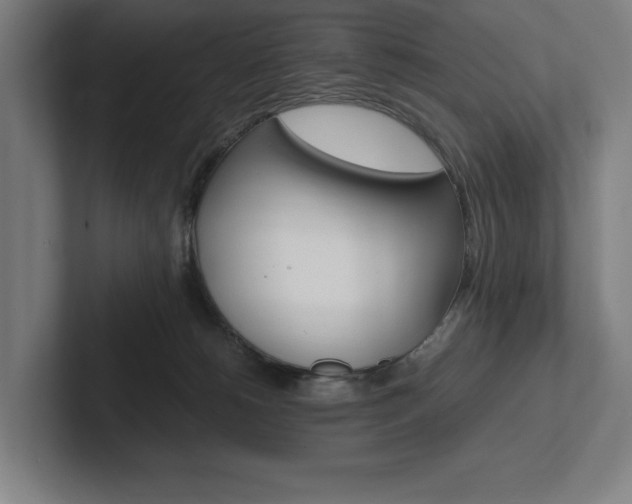 X0000102860180200808181033