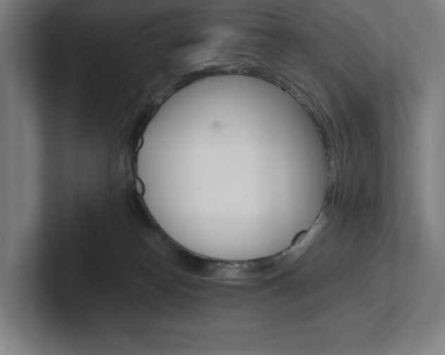 X0000102860182200808181033