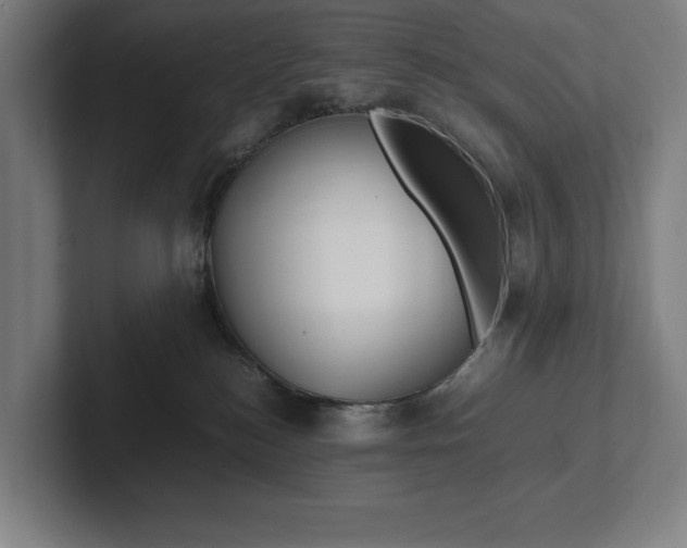 X0000102860184200808181033